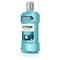 Listerine Listerine Antiseptic Cool Mint Mouthwash 1 Liter Bottle, PK6 5242735 - alternate 6